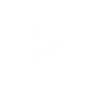 Logo JFshow - LOGstudio