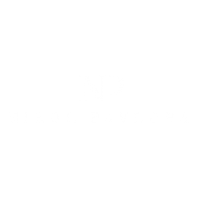 Logo NP - LOGstudio